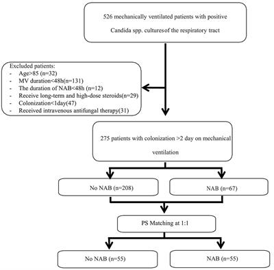 Effect of Nebulized Amphotericin B in Critically ill Patients With Respiratory Candida spp. De-colonization: A Retrospective Analysis